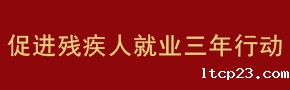 2022年残疾人就业宣传年 
